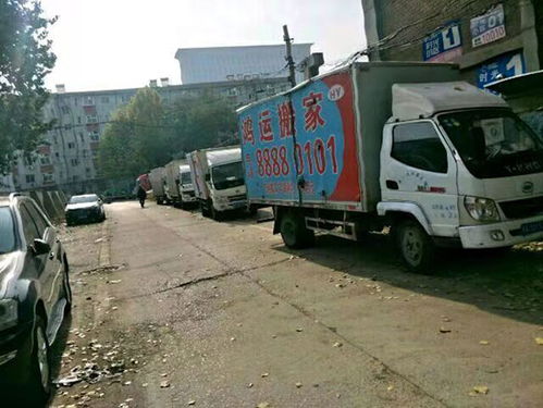 北京月嫂公司哪家最可靠