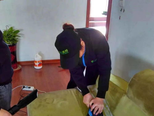 蚂蚁搬家背后的是什么