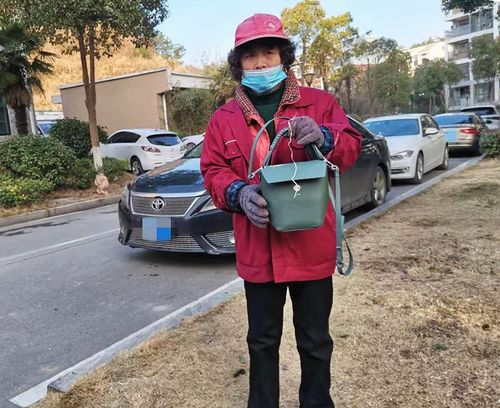 中山同城月嫂中山市有没有月嫂免费培训 中山同城月嫂中山市有没有月嫂免费培训