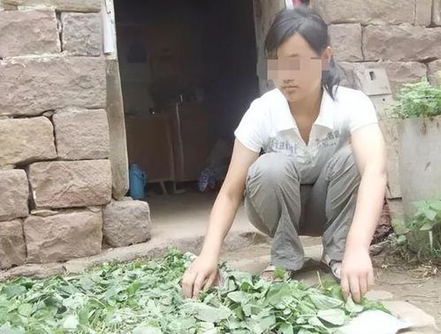 月嫂肖二梅 月嫂大结局 月嫂肖二梅 月嫂大结局