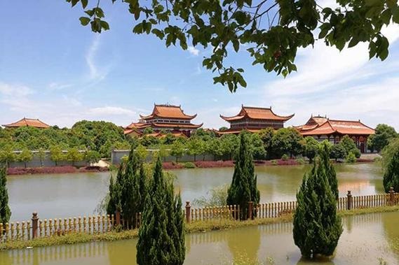 六爻中预测的用神 六爻中预测的用神