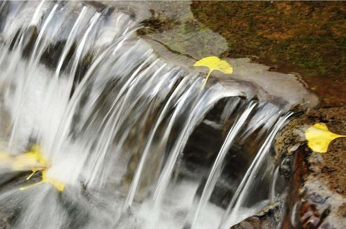 射手座感情运势1月复合 射手座感情运势最新12月