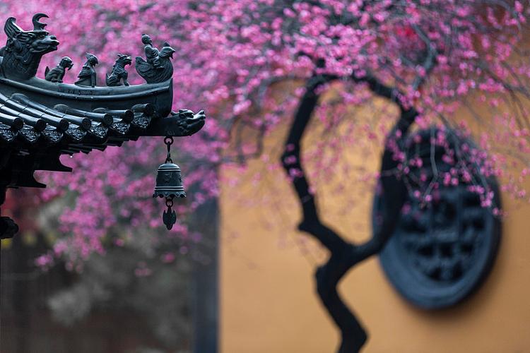 面相部位名称详细图