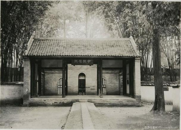 三生三世枕下卷番外,三生三世枕书小说阅读 三生三世枕下卷番外,三生三世枕书小说阅读