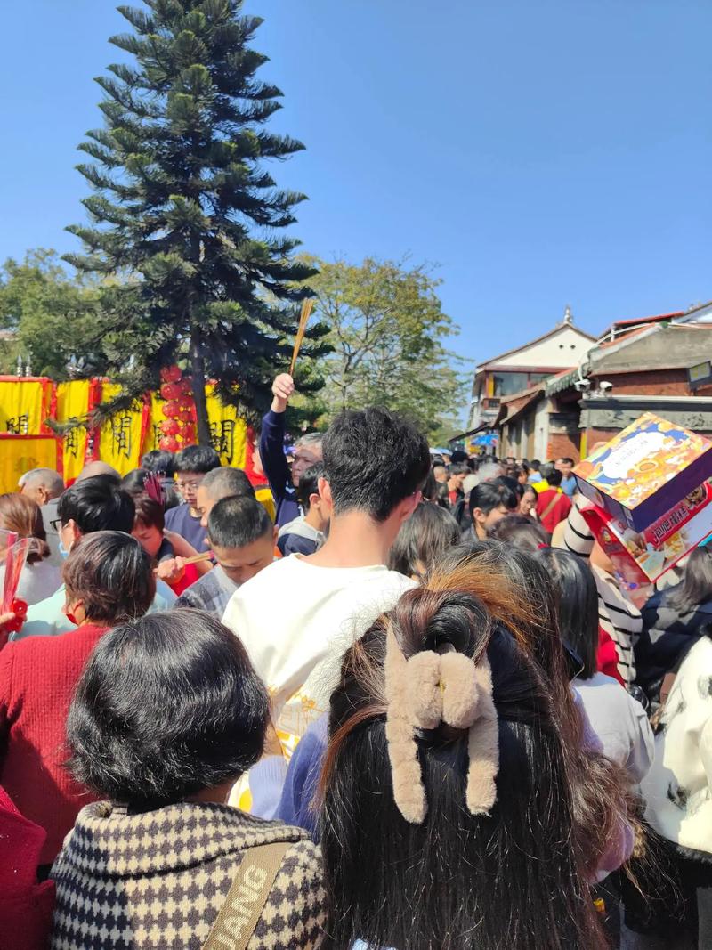 属猴的适合养什么植物在家里 属猴的适合养什么植物在家里