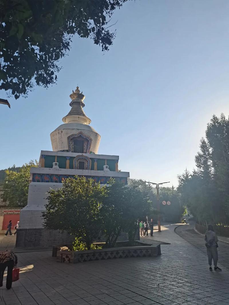 属猪2025年运势及运程 2025年运程十二生肖运程 属猪2025年运势及运程 2025年运程十二生肖运程