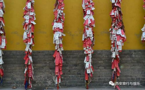 卢姓男孩起名带木字旁的名是否会影响其情感依赖性(卢姓男孩起名带木字旁的 卢姓男孩起名带木字旁的名是否会影响其情感依赖性(卢姓男孩起名带木字旁的