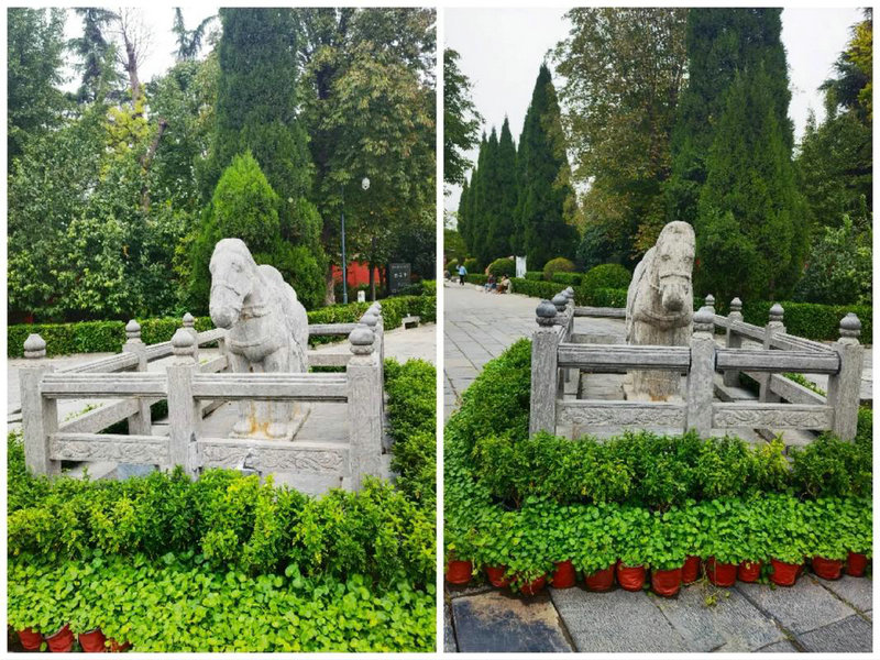 紫微斗数贪狼化禄