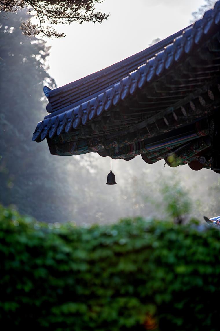 结婚礼仪 结婚礼仪中9大礼节 结婚礼仪 结婚礼仪中9大礼节