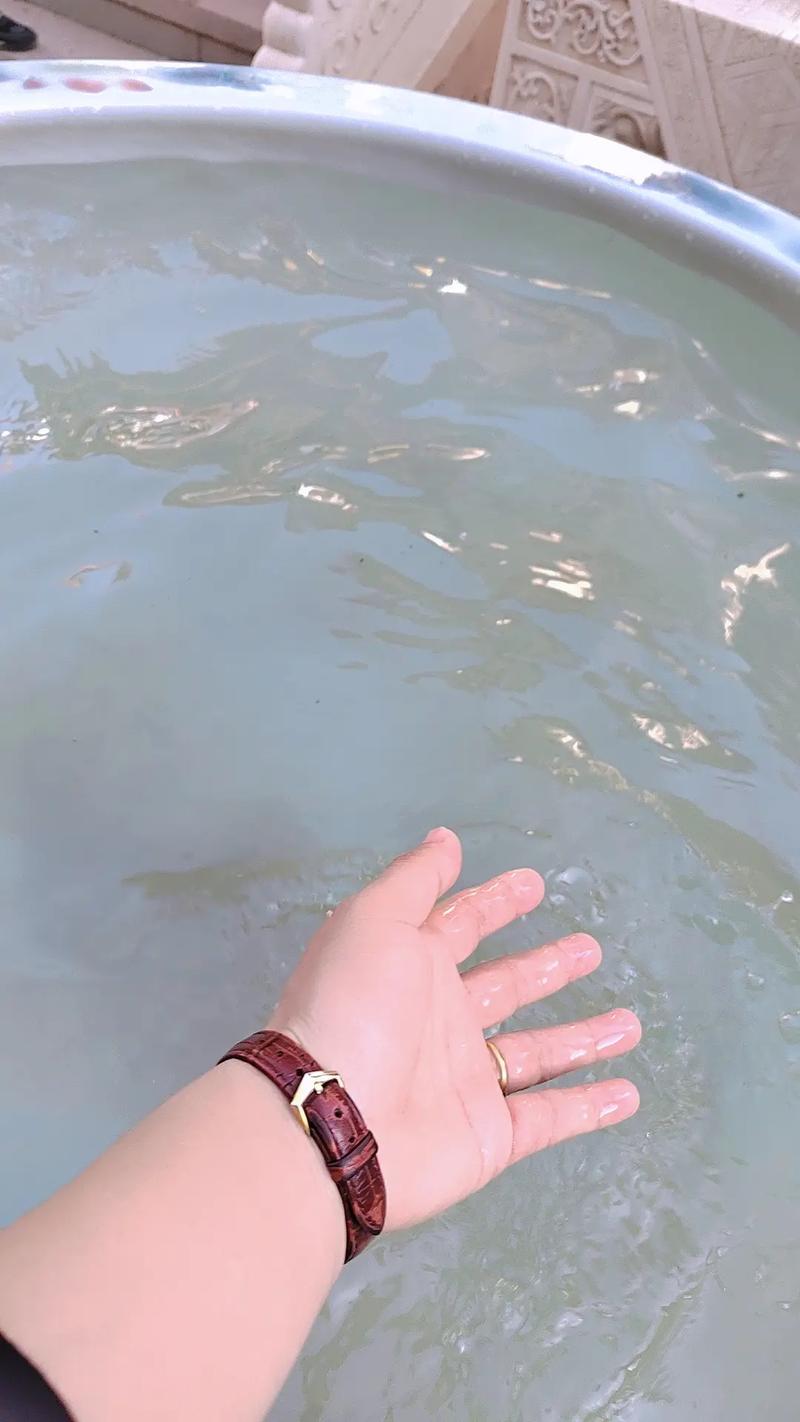 好听独特稀少的女孩英文名字 女生稀少的英文名 好听独特稀少的女孩英文名字 女生稀少的英文名