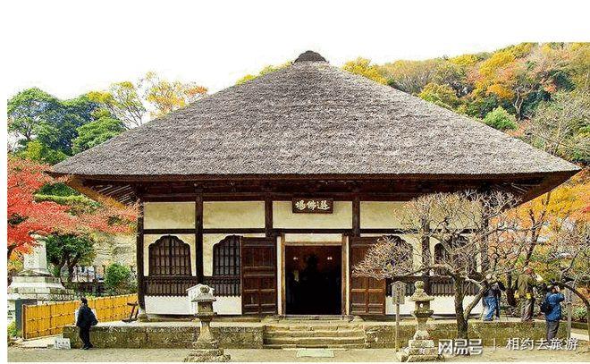 2025年是百年不遇虎吗 虎进门必伤人伤的是谁 2025年是百年不遇虎吗 虎进门必伤人伤的是谁