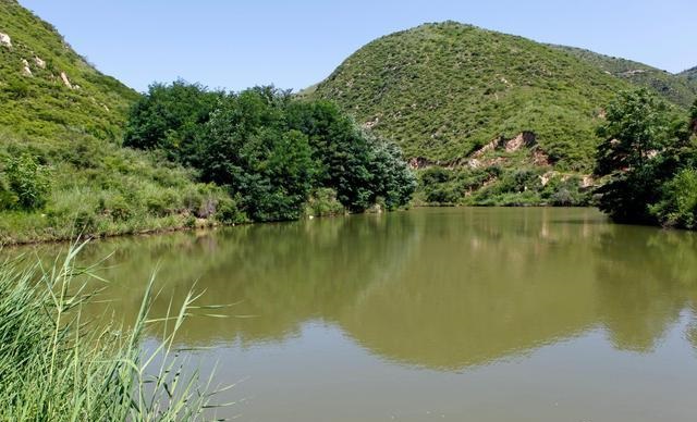 适合家居风水植物有哪些 适合家居风水植物有哪些
