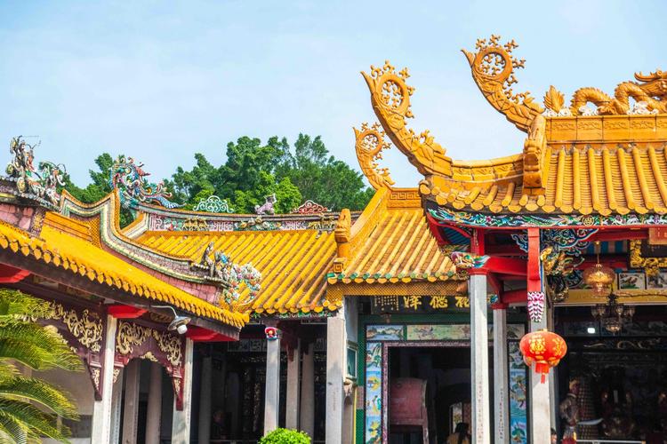 处女座男生和处女座女生