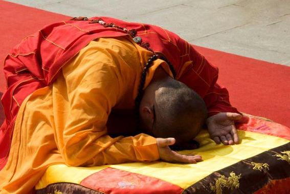 属鸡的和属鸡的婚配 属鸡人婚配属相表