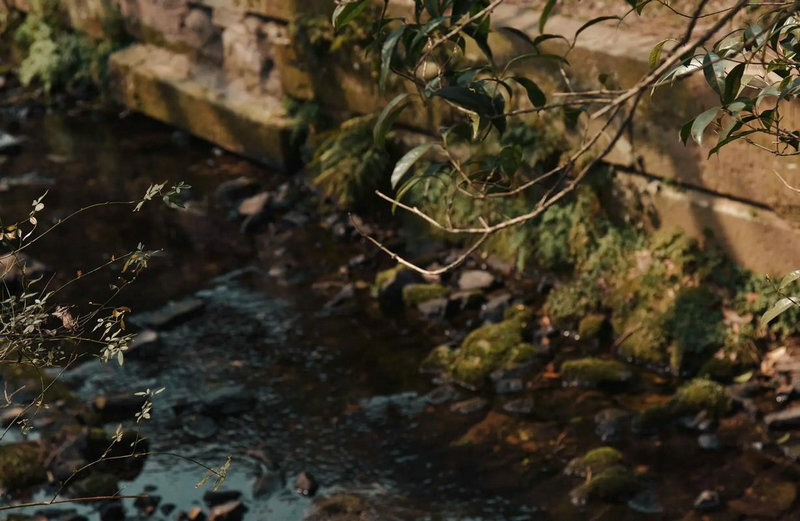 月亮星座代表什么暗，如深蓝、深绿、深红、