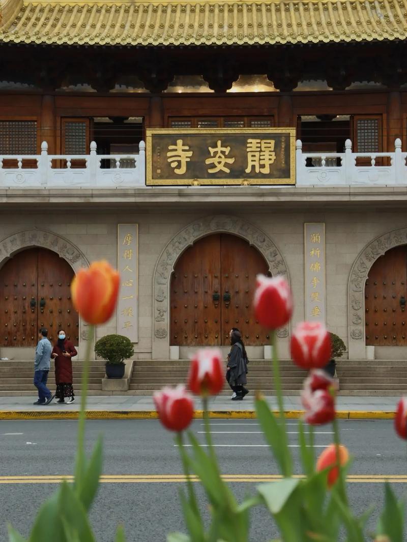 闹闹女巫每周星座运势11.26-12.2 闹闹女巫每周星座运势11.26-12.2