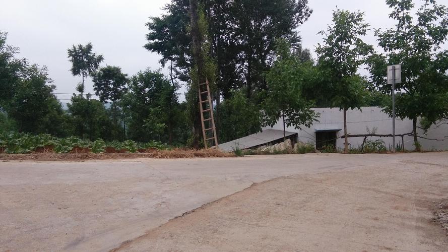 女面相痣运势图解