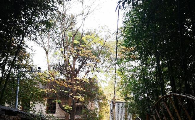 财神灵签86签朋友背叛是否预示缘分将尽(财神灵签86签中的朋友背叛能否化解财 财神灵签86签朋友背叛是否预示缘分将尽(财神灵签86签中的朋友背叛能否化解财