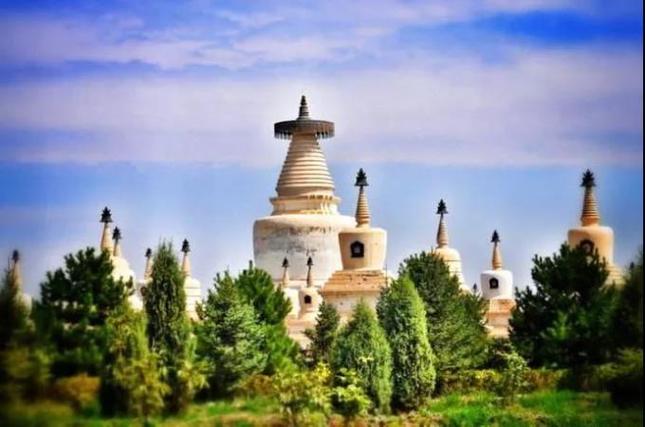 属猪的发胖的时候走财运 属猪的今天财运是什么意思？