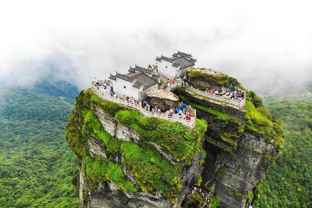 属猪虎年的运势及运程如何 2025年属猪的吉祥物是什么意思? 属猪虎年的运势及运程如何 2025年属猪的吉祥物是什么意思?