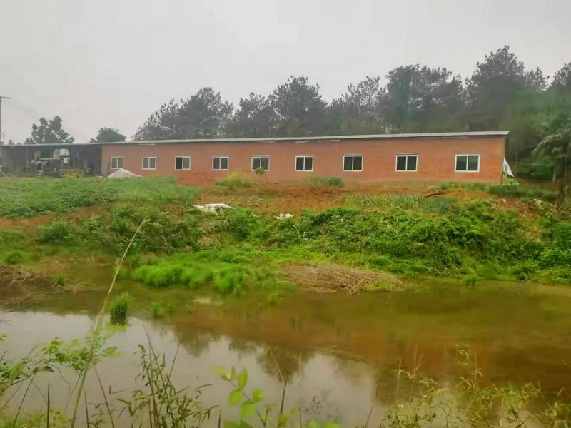 处女座今天星座运势 处女座星座运势