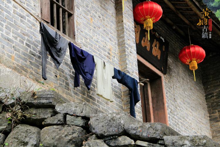 梦见房间蚂蚁成群 女人梦见蚂蚁什么预兆