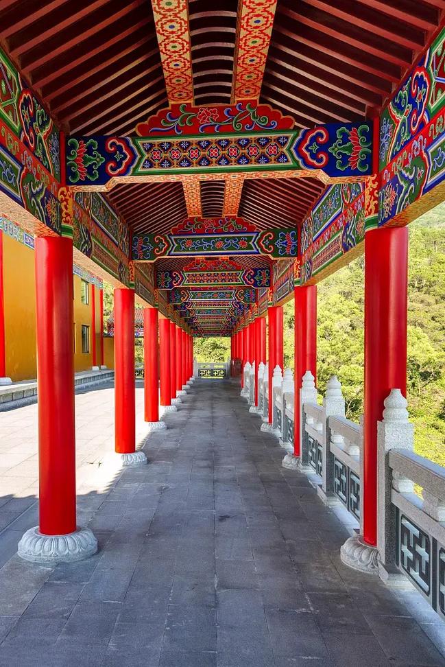 卧室财位养什么花好,卧室财位放什么植物急问 卧室财位养什么花好,卧室财位放什么植物急问