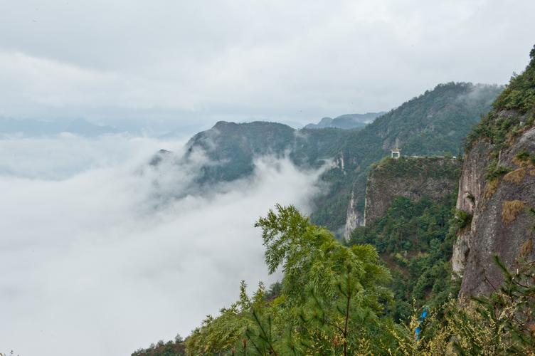 秦东魁老师讲各个属相的命运 秦东魁是不是骗 秦东魁老师讲各个属相的命运 秦东魁是不是骗