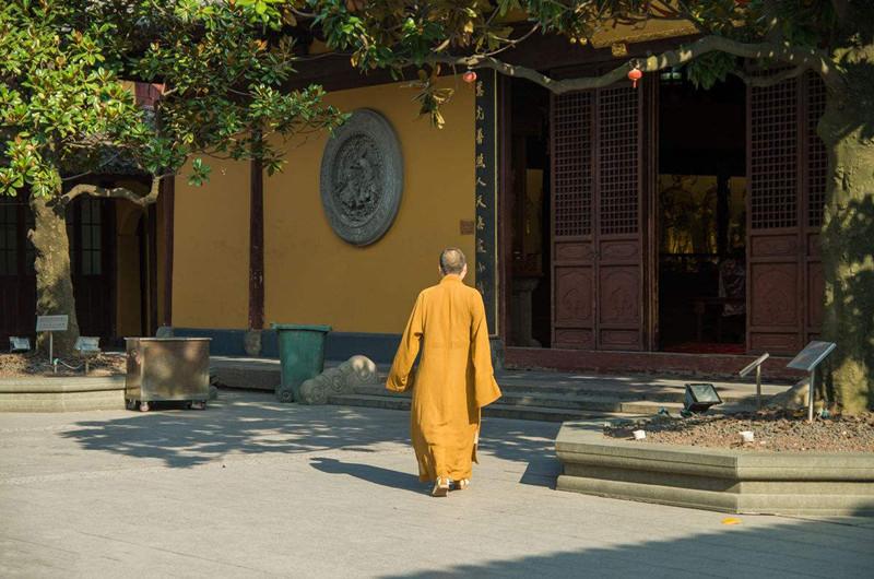 男的属兔找女朋友属什么好 兔子和哪个生肖关