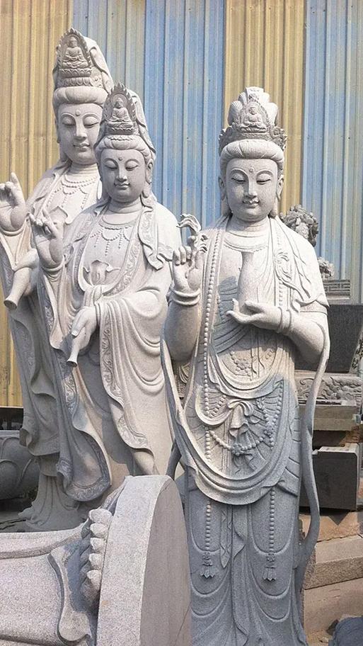 2025属猪人每月运势运程 2025属猪人的全年运势如