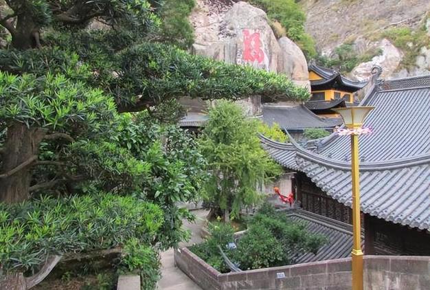 属狗不为人知的秘密 属狗不为人知的秘密