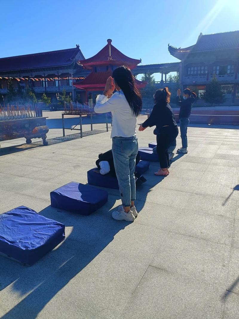 演员艾米·亚当斯 Amy Adams？奥斯卡陪跑