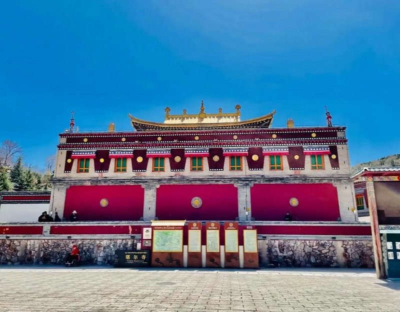 76年属龙人最旺的年龄 1976年属龙女一生命运