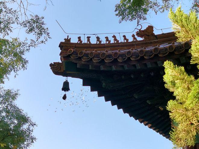 紫微斗数泄出忌