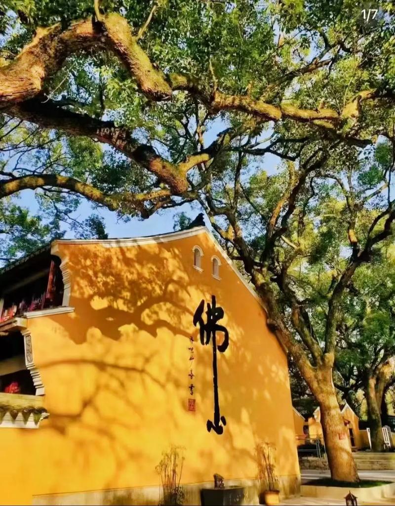 未来科技动向创新驱动,前瞻引领,重塑未来视界 未来科技动向创新驱动,前瞻引领,重塑未来视界