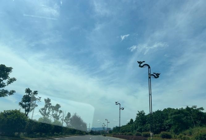 2025年69年属鸡每月财运 2025年69年属鸡每月财运