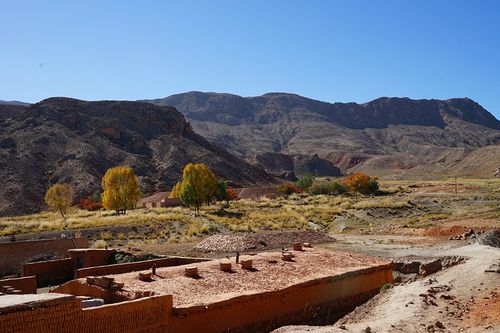 秋田犬取什么名字最好听 秋田犬名字取什么好