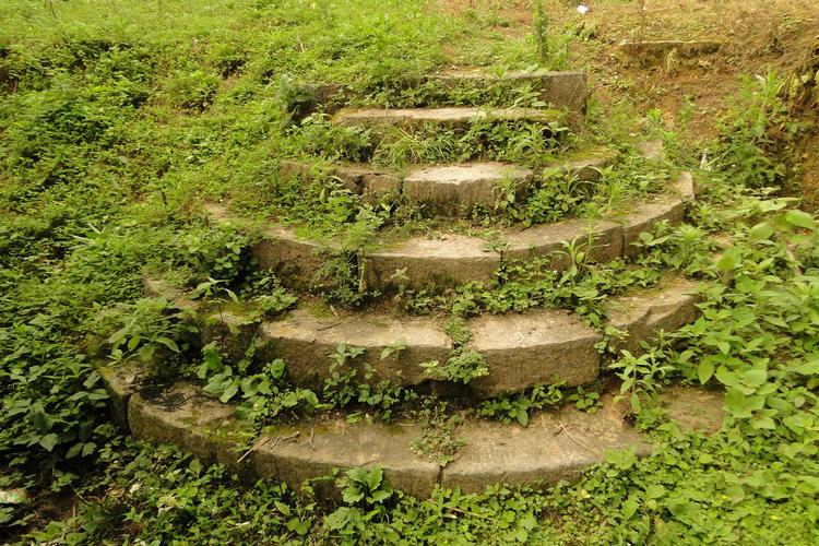 赵丽颖代言的品牌近期赵丽颖成为了cl代言人, 赵丽颖代言的品牌近期赵丽颖成为了cl代言人,