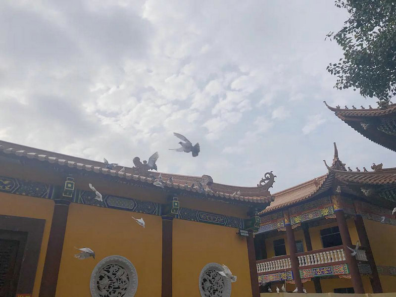 巨蟹座戴什么水晶最适合 巨蟹座戴什么水晶最适合