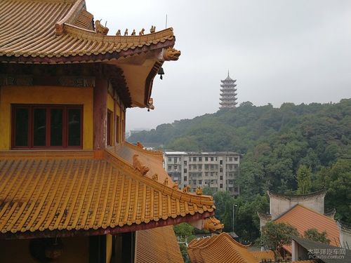 盲派看男女不利婚秘诀 天干合多, 妻缘易变