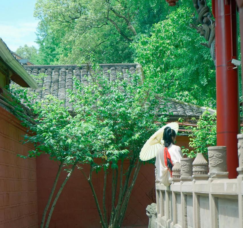 属鸡的幸运数字讲解