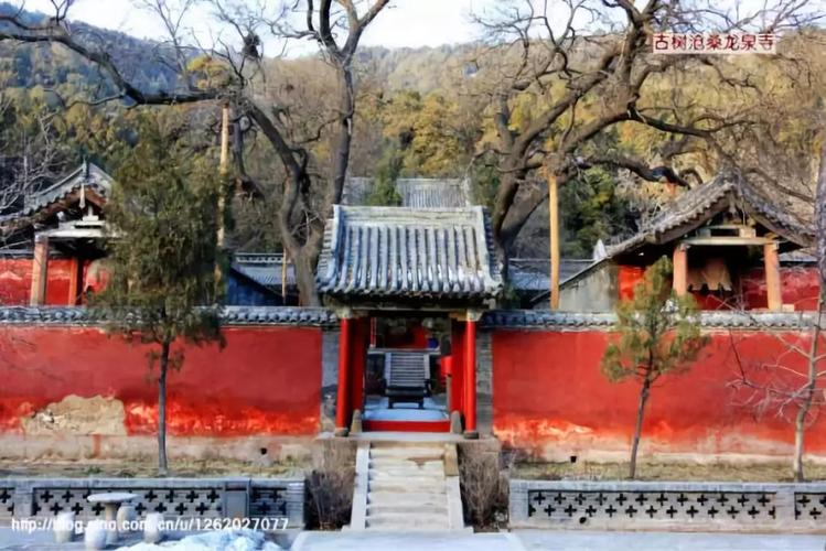 戊午日女命大人物 戊午日生于个月详解