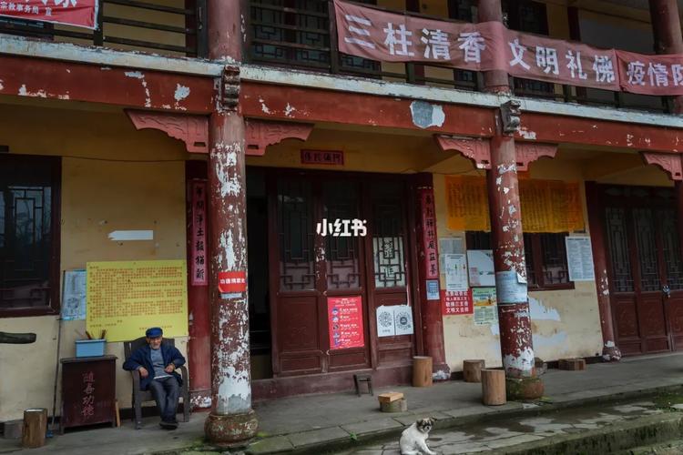 3月1日生日花：韭菜花（双鱼座）