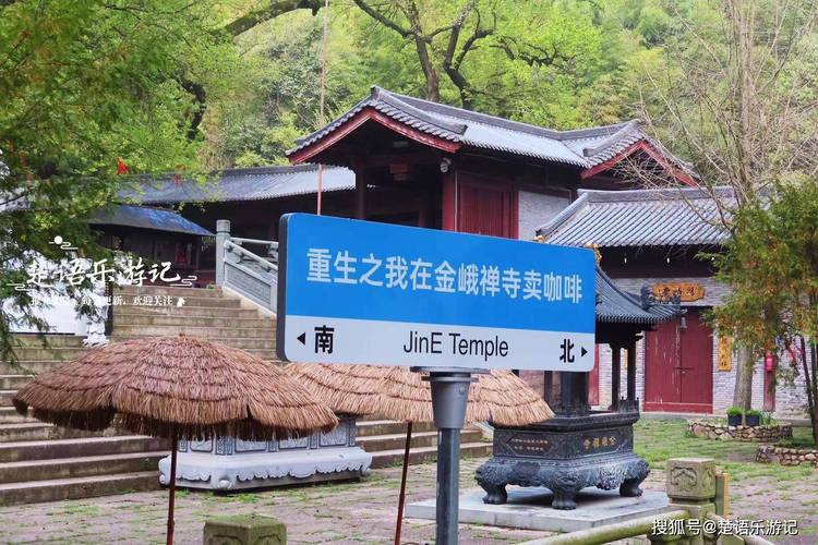 2025年1982年属狗运势 属狗人2025年全年运势如何