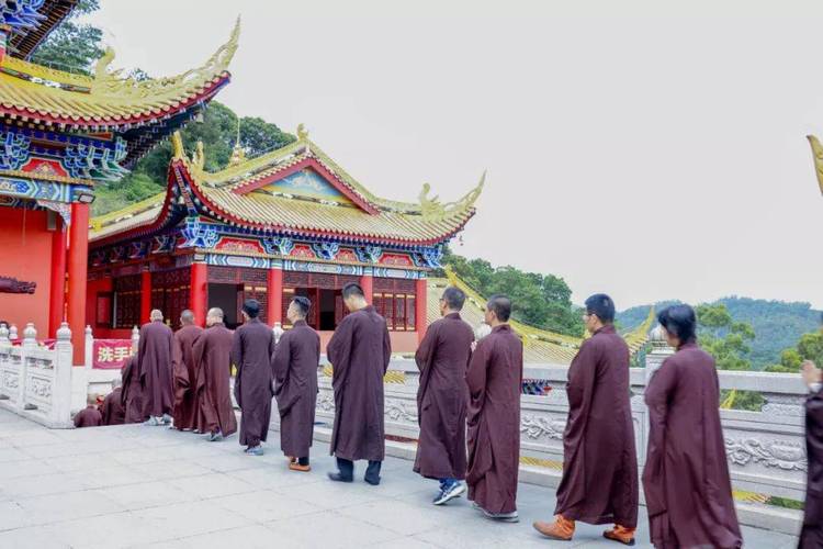 属羊的虚岁今年多大了，属羊的今年多大
