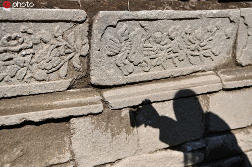 别墅庭院最佳风水植物知识 别墅庭院最佳风水植物知识