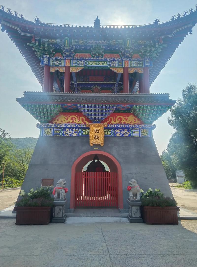 10月15日生日花-香矢车菊 10月15日生日花-香矢车菊