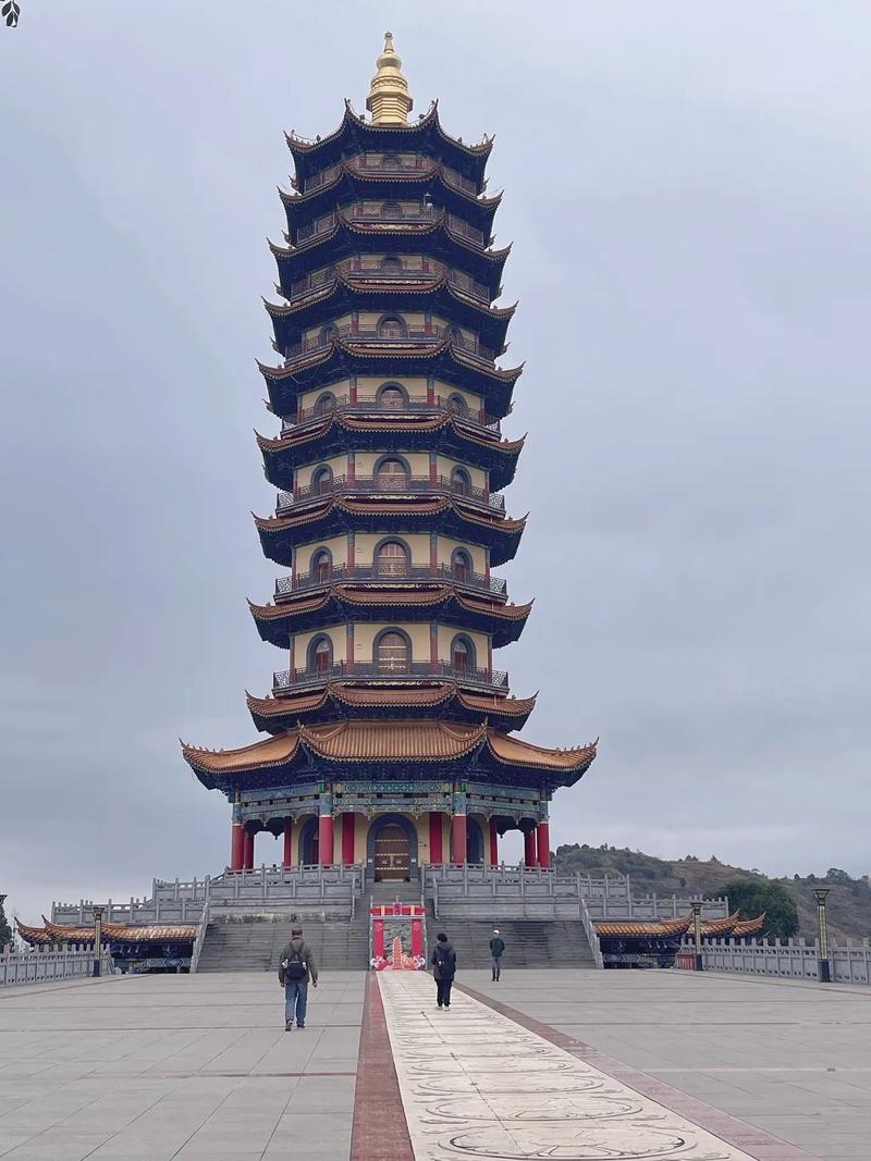 生肖属龙者五行分析