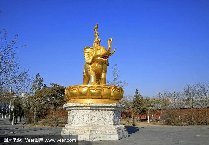 2025年农历运势 2004年出生属猴 2025年运程