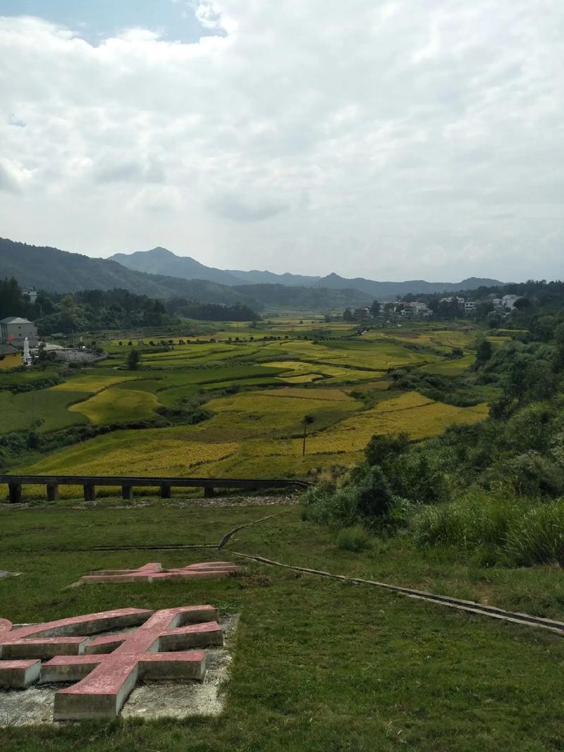 梦见坐火车头上是什么意思 梦见坐火车头上是什么意思